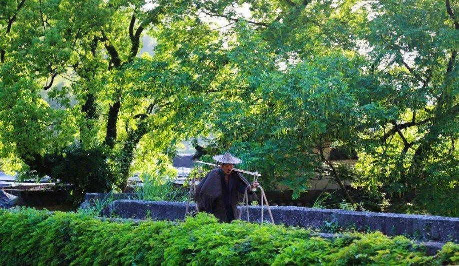 逃离阴森的岛屿